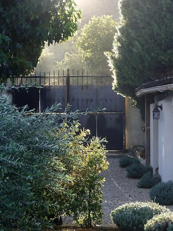 Le Chat Sur Le Toit Lourmarin Couette-café