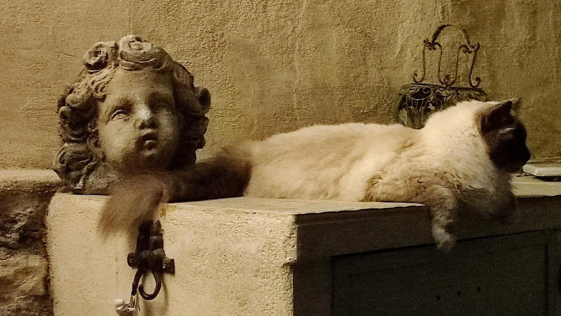 Couette-café Le Chat Sur Le Toit Lourmarin